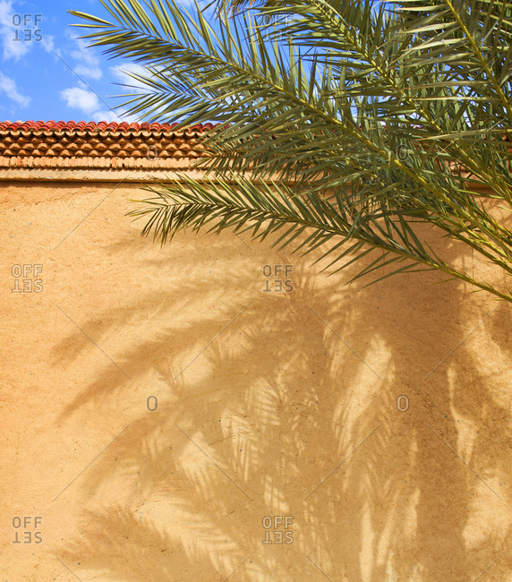 Hotel wall and date palm tree with shadows, Erfoud, Morocco