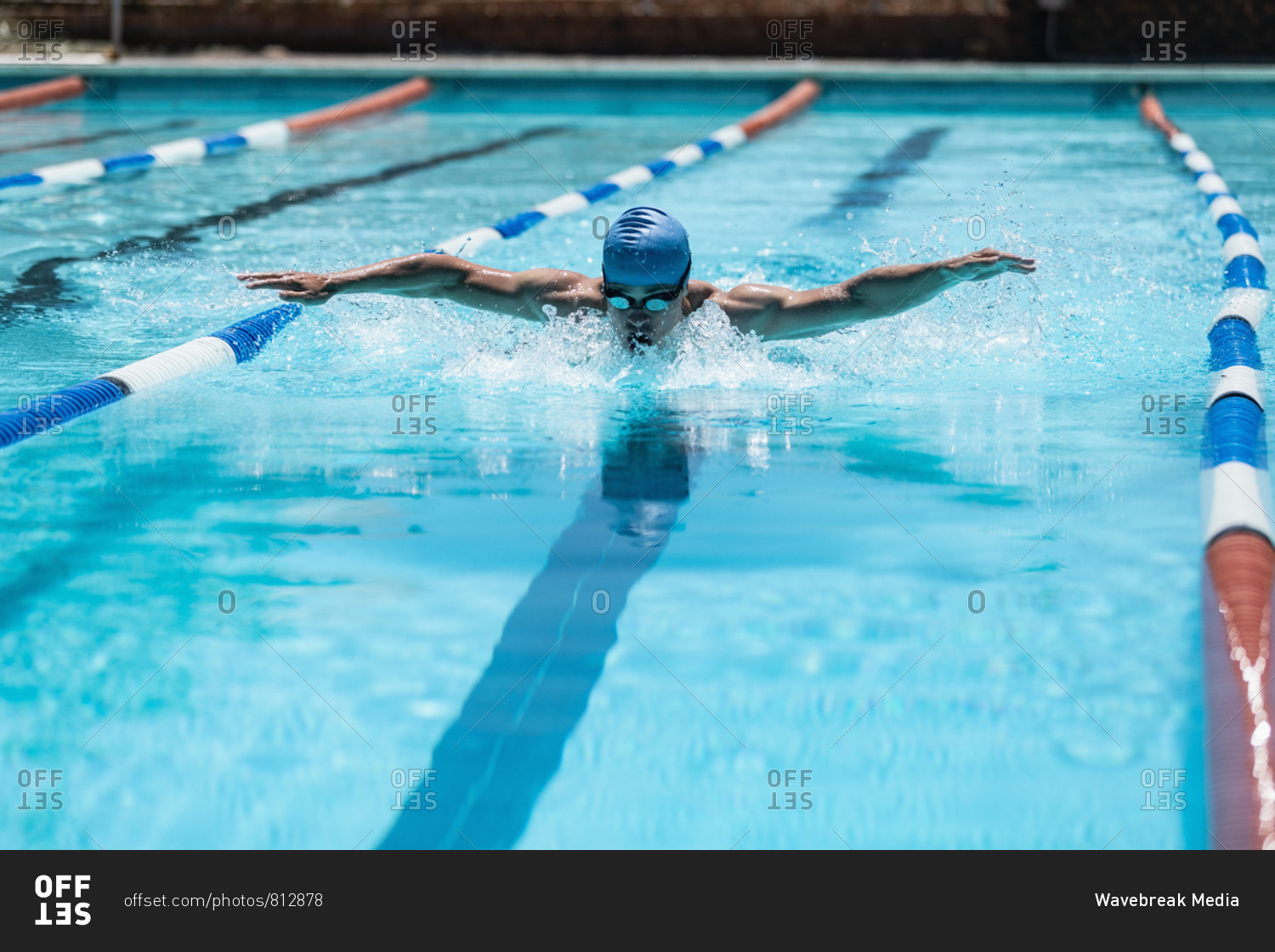 Young Caucasian male swimmer swimming butterfly stroke in swimming pool