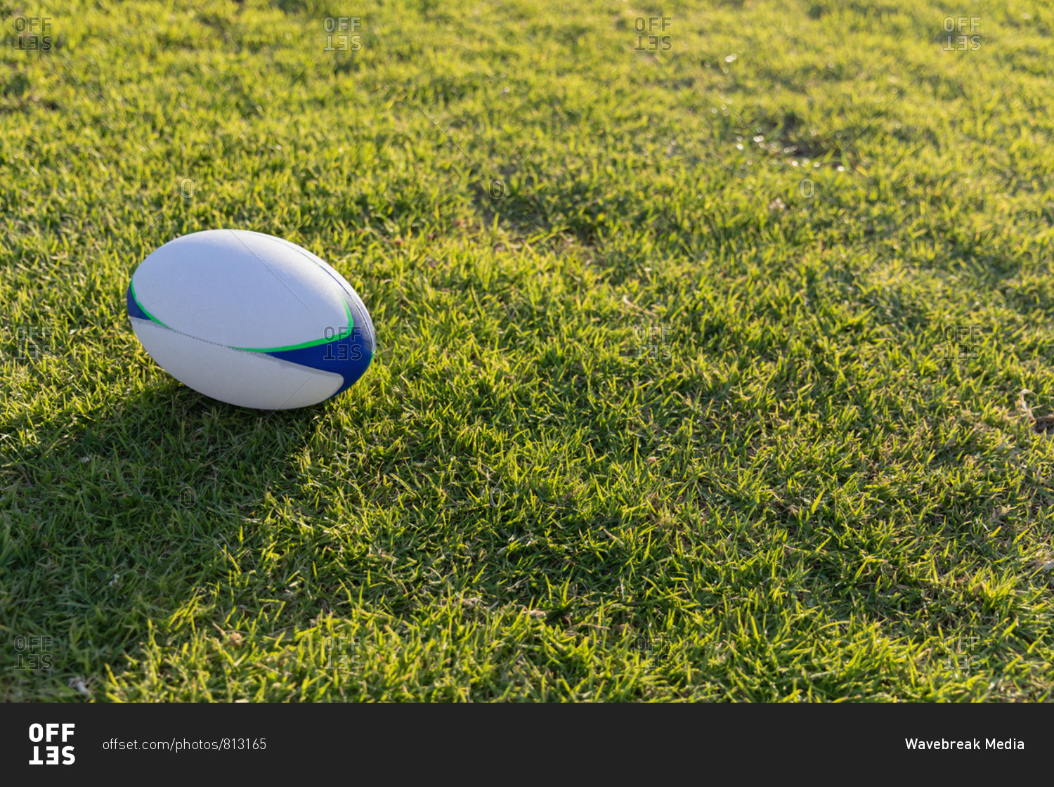 Rugby ball in the ground on a sunny day
