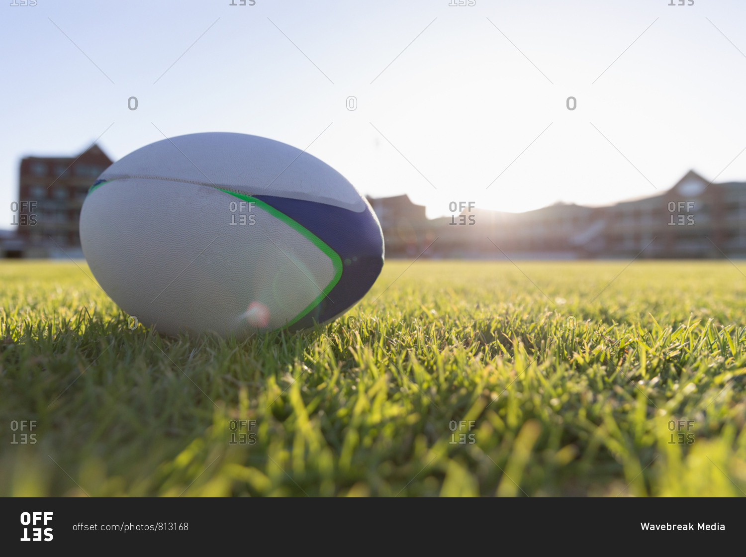 Rugby ball in the ground on a sunny day