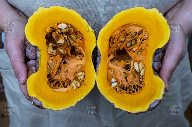 Close up of person holding pumpkin with orange flesh cut in half.