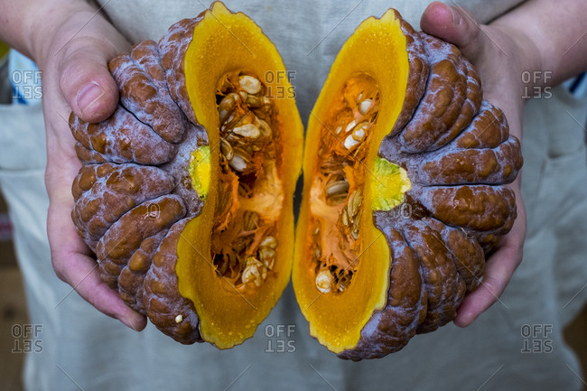 Close up of person holding pumpkin with orange flesh cut in half.
