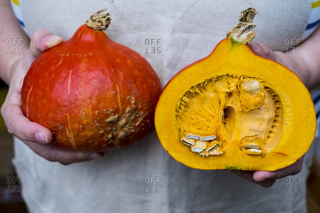 Close up of person holding pumpkin with orange flesh cut in half.