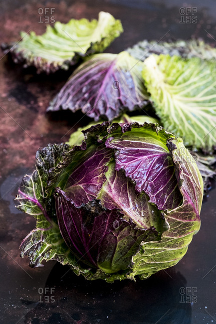 Still life, a fresh round red and green savoy cabbage