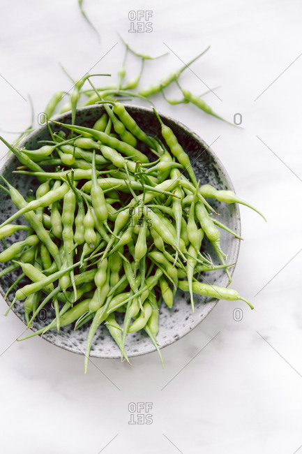Fresh radish pods in a bowl
