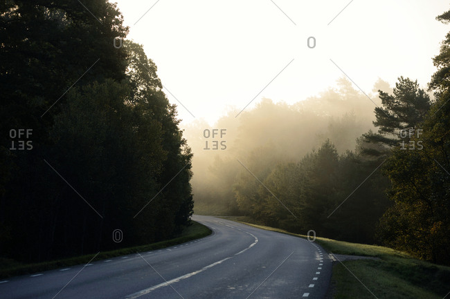 Empty road on foggy day