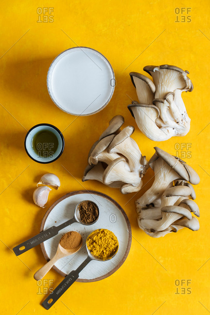 Overhead view of mushroom and other ingredients on a yellow background