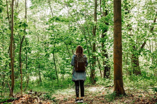 Young woman with backpack in Beskidy mountains forest