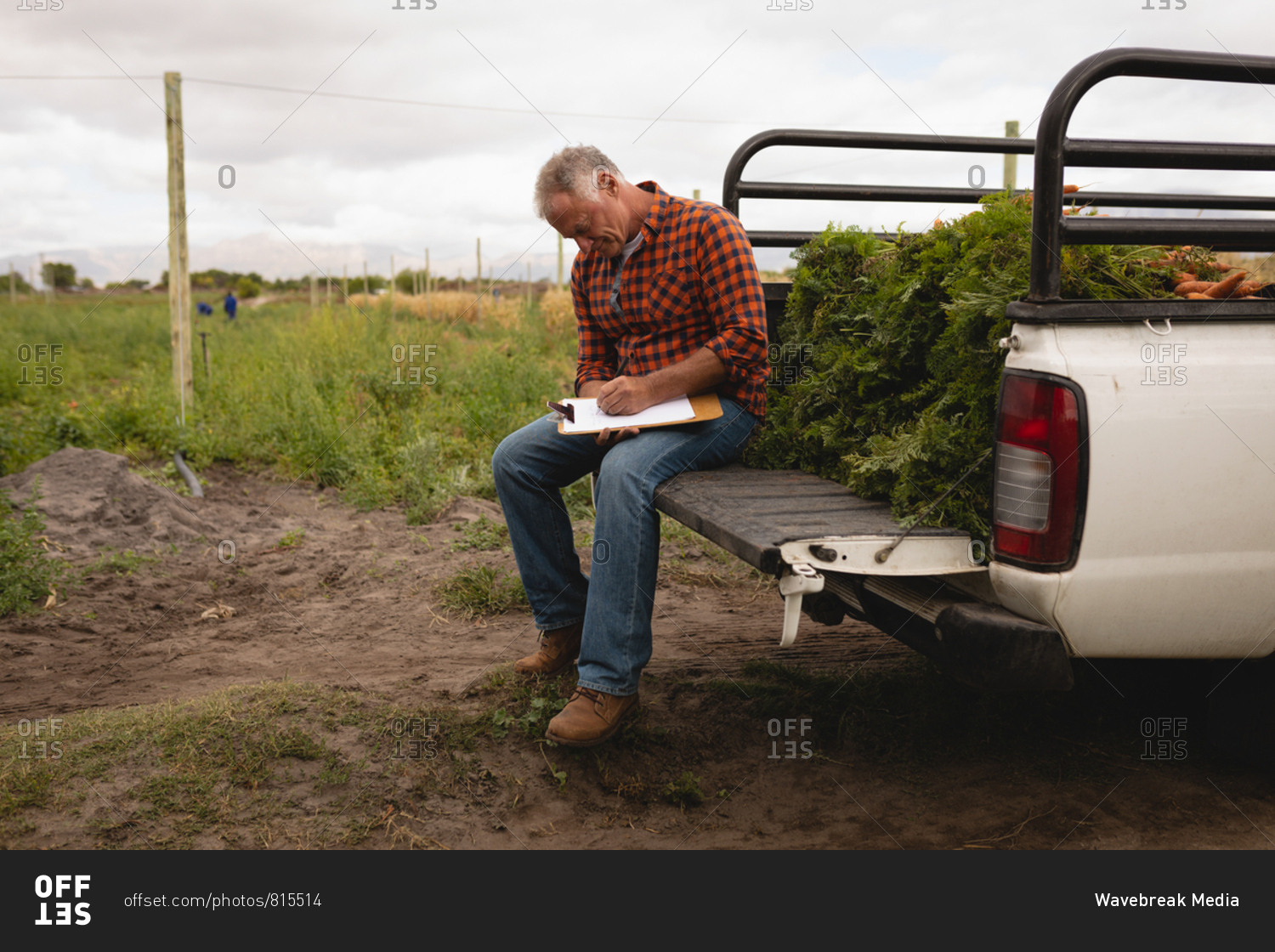 Side view of Caucasian male farmer maintaining the record of plants on clipboard while sitting on backside of car
