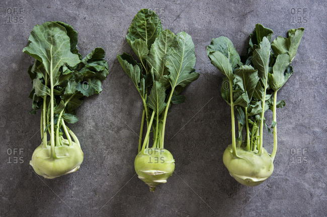 Fresh kohlrabi stems with leafs over grey concrete background