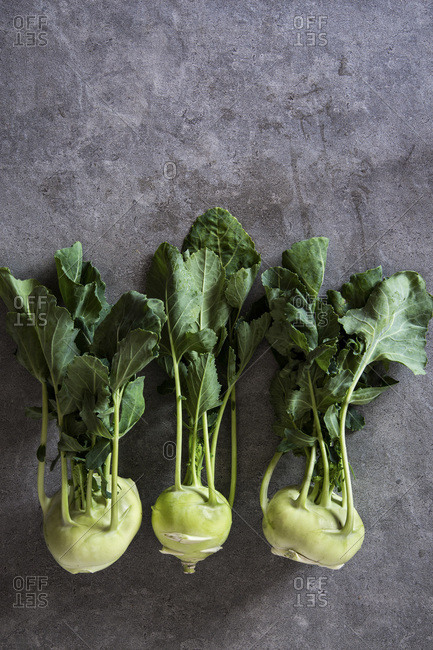 Fresh kohlrabi stems with leafs over grey concrete background