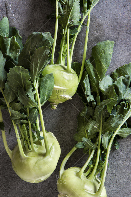 Fresh kohlrabi stems with leafs over grey concrete background