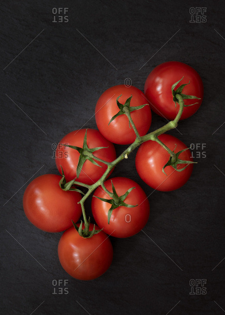 A cluster of tomatoes on vine against a black background.