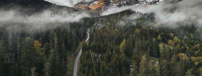 Panoramic view of foggy forest in the Pyrenees