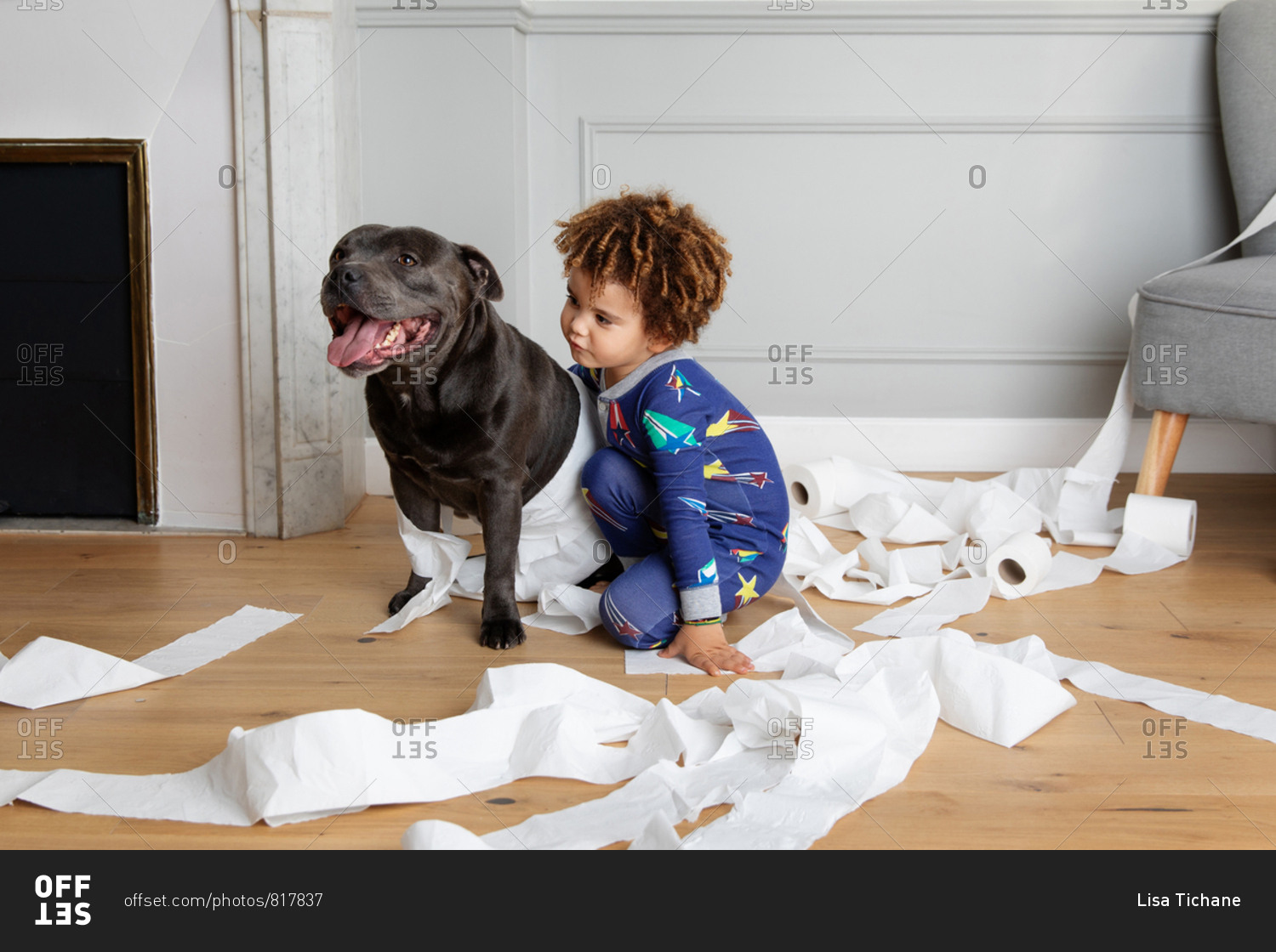Boy and dog making mess with toilet paper rolls