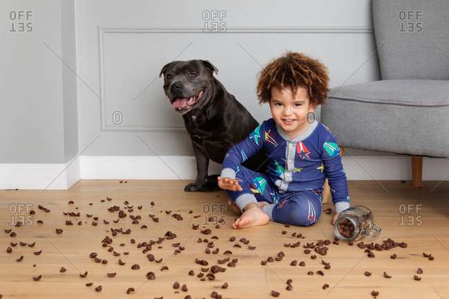 Mischievous boy and dog making mess with cereals on floor
