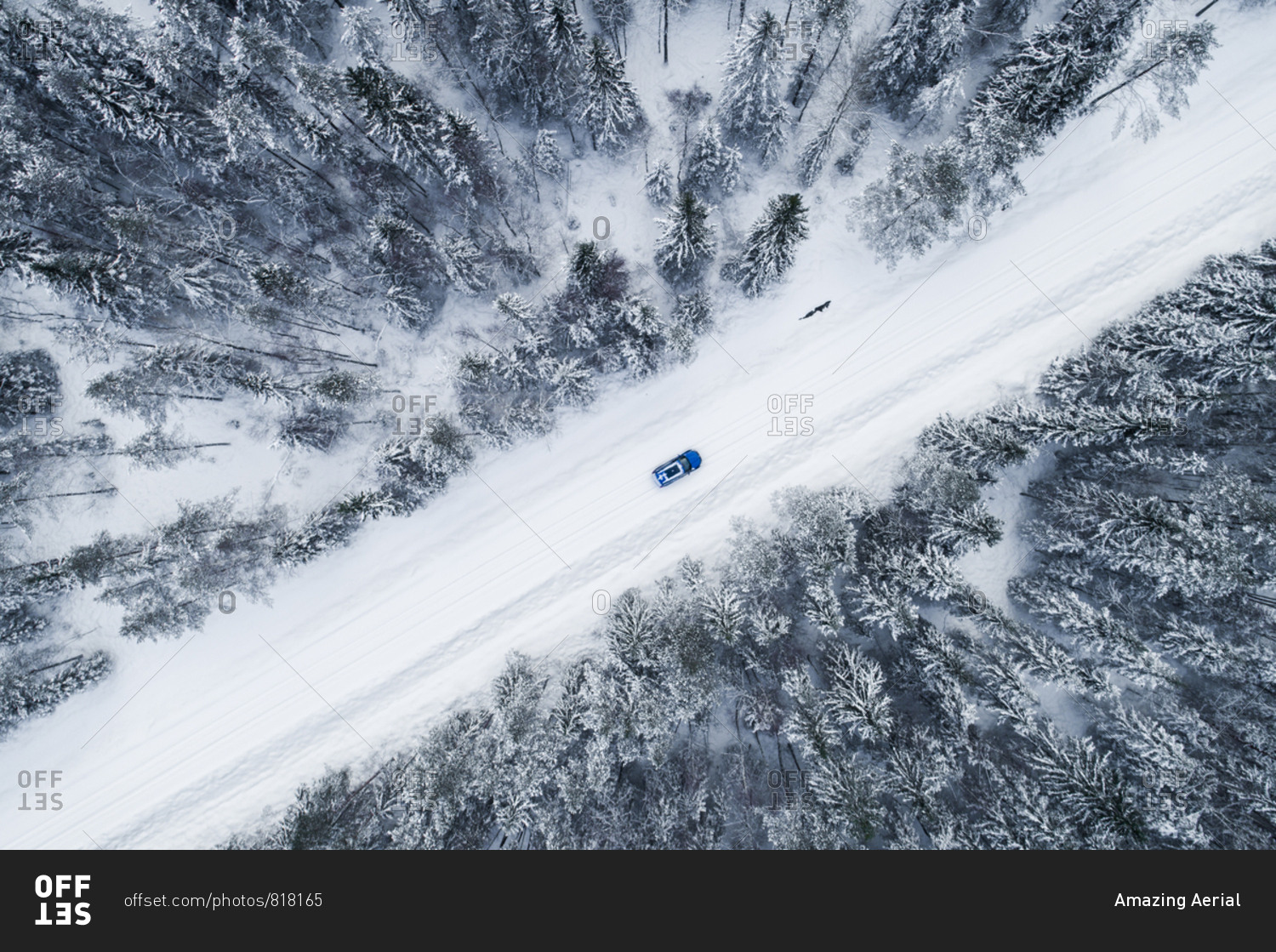 Aerial view of a blue car driving in the snowy forest in Estonia.