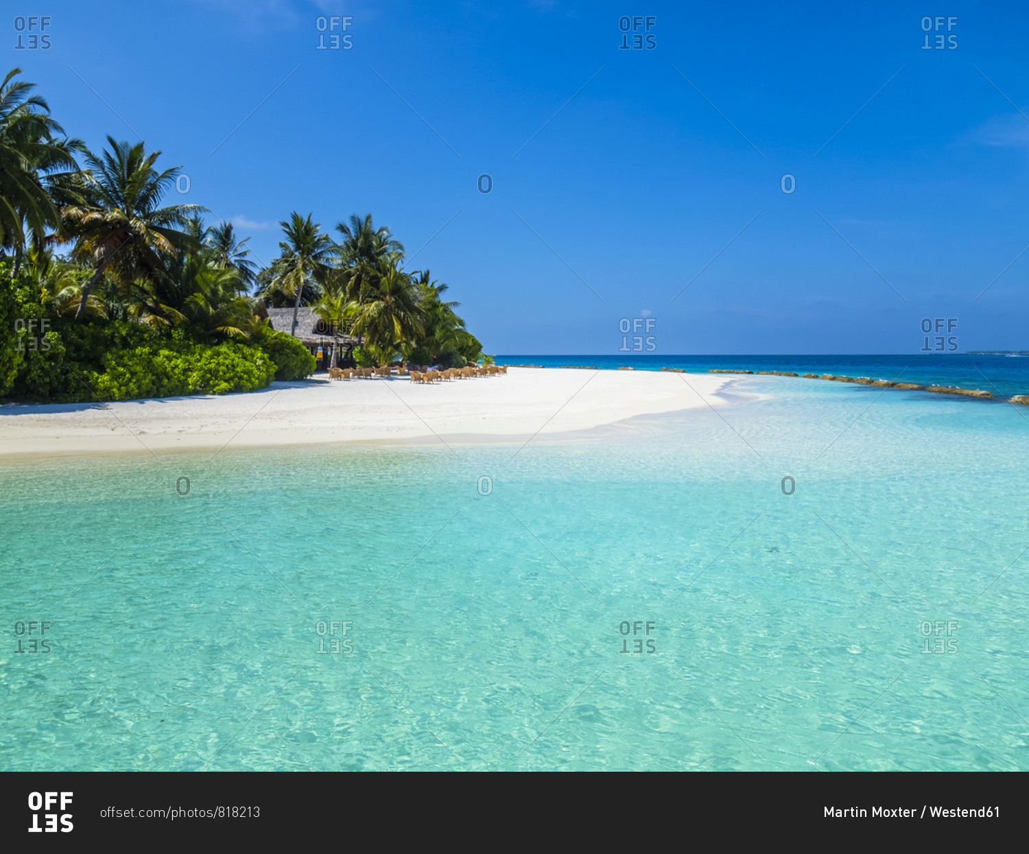 Maldives- Ross Atoll- beach bar and sandy beach with palms