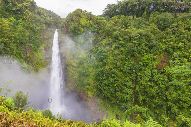 USA- Hawaii- Big Island- Akaka Falls State Park- Akaka Falls and Kolekole Stream