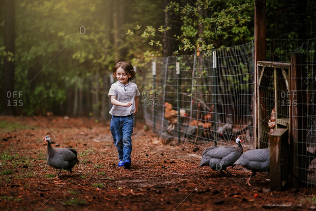 A Small Young Boy Chasing Chickens On A Farm