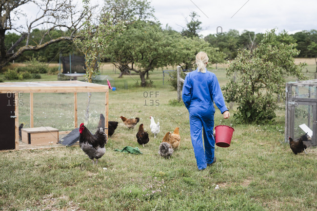 Woman feeding chickens