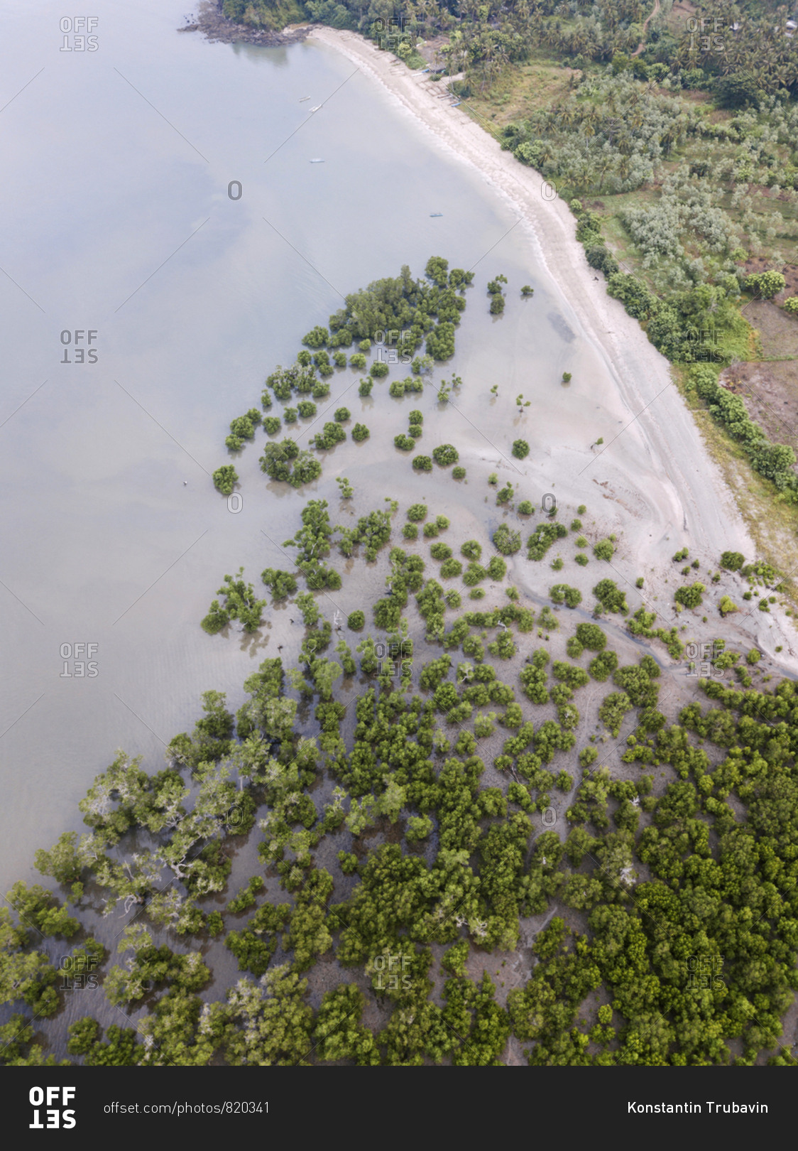 Aerial view of the mangrove forest, Lombok, Indonesia