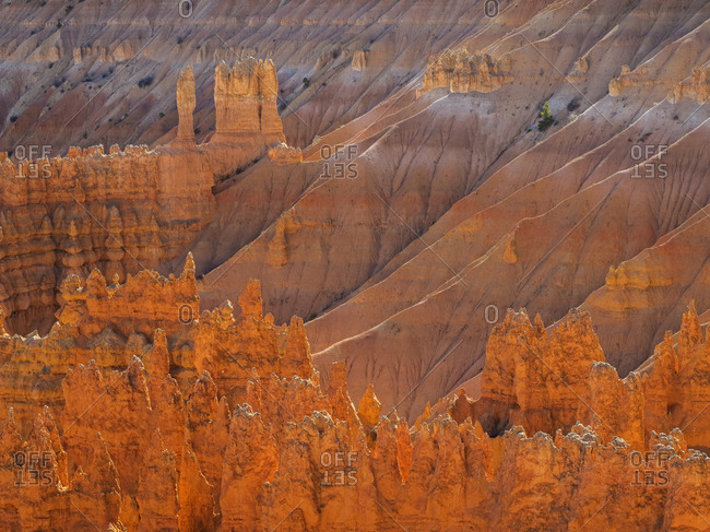 Utah, Bryce Canyon National Park. View of canyon with hoodoos