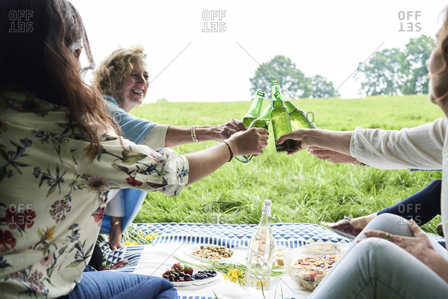 Happy women clinking beer bottles at a picnic in park
