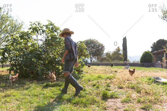 Side view of unrecognizable male teenager in straw hat and high boots walking on lawn near bush while taking care of hens on sunny day on farm