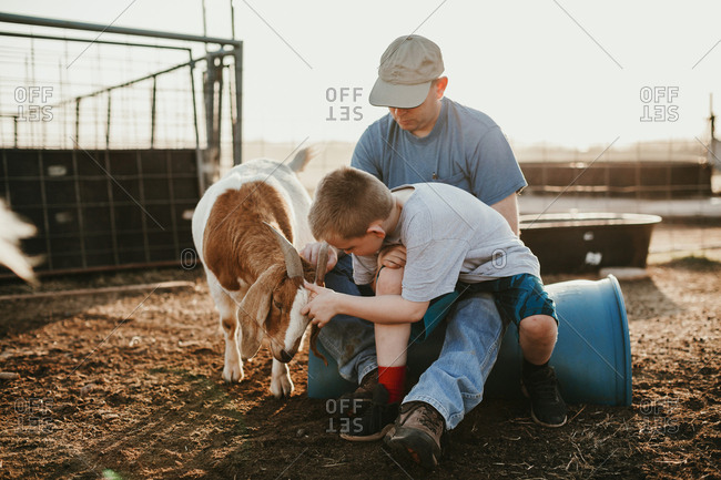 A boy petting a goat on a farm