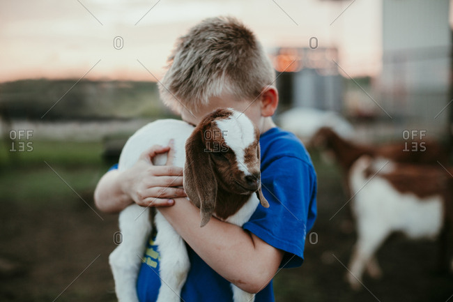 A boy holding a baby goat at sunset