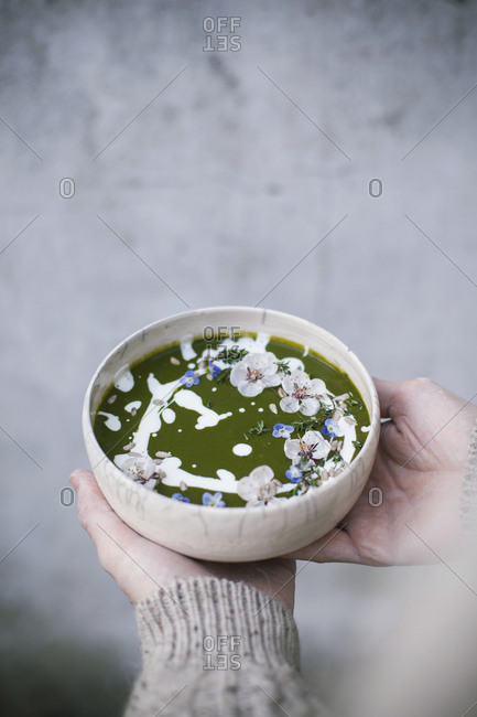 Hands serving a bowl of green soup seasoned with sour cream and edible flowers