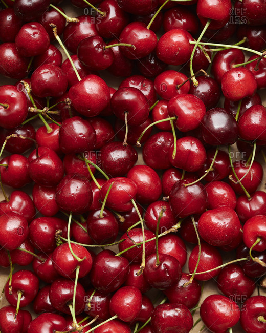 Close-up of ripe cherries