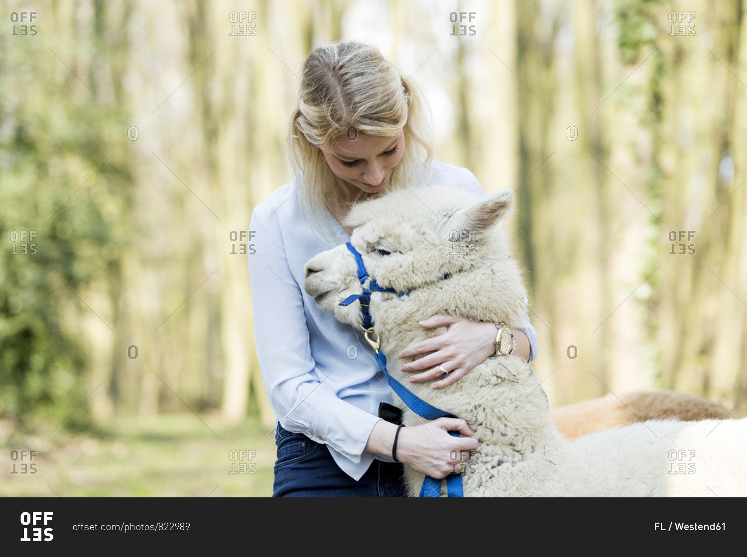 Woman cuddling alpaca