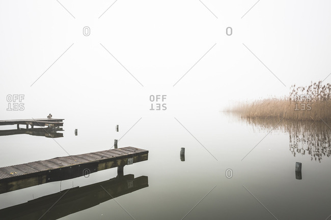 Germany- Brandenburg- Rangsdorfer See- pier and fog