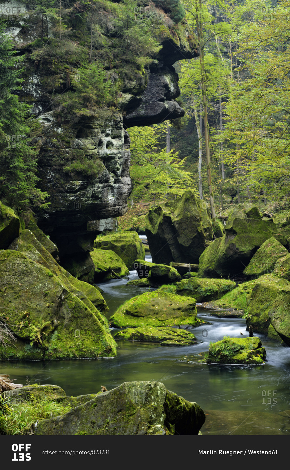 Czech Republic- Bohemian Switzerland- Ticha Souteska near Hrensko- River Kamnitz in the Edmundsklamm with moss covered sandstone rocks