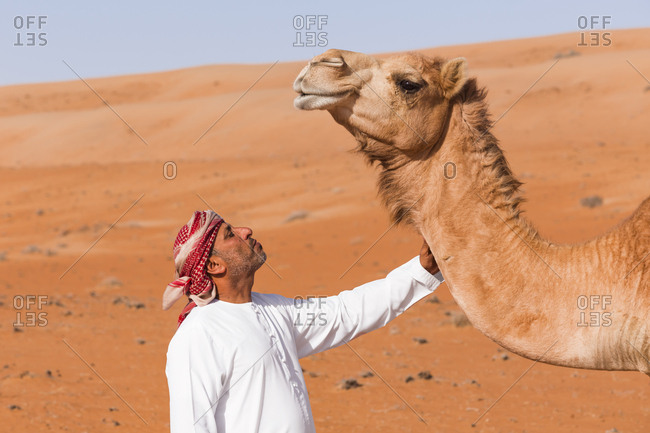 Bedouinn stroking his camel in the desert- Wahiba Sands- Oman