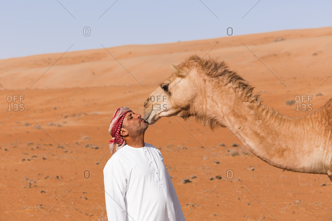 Bedouinn kisses his camel in the desert- Wahiba Sands- Oman