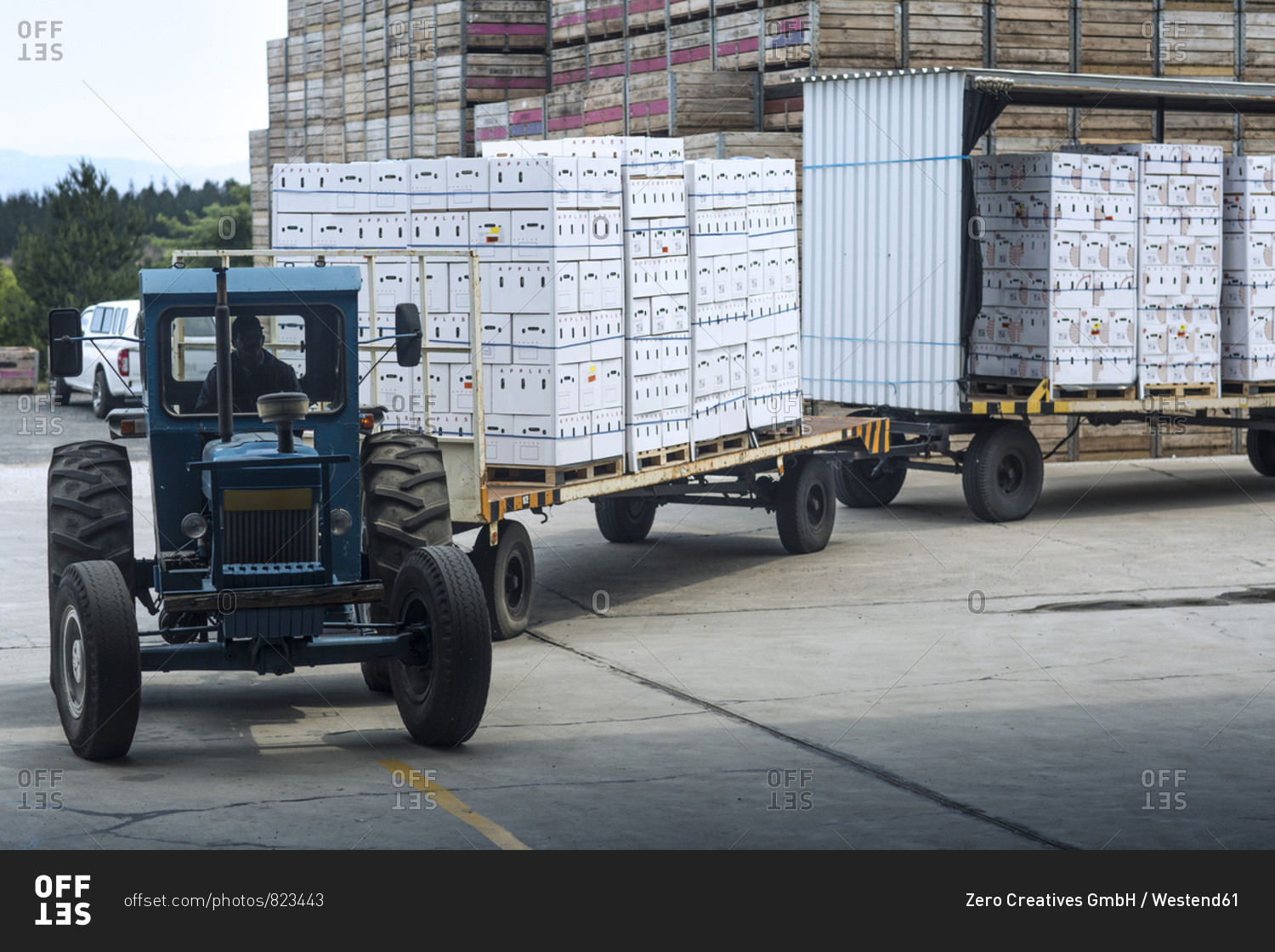 Tractor transporting produce in boxes on factory yard