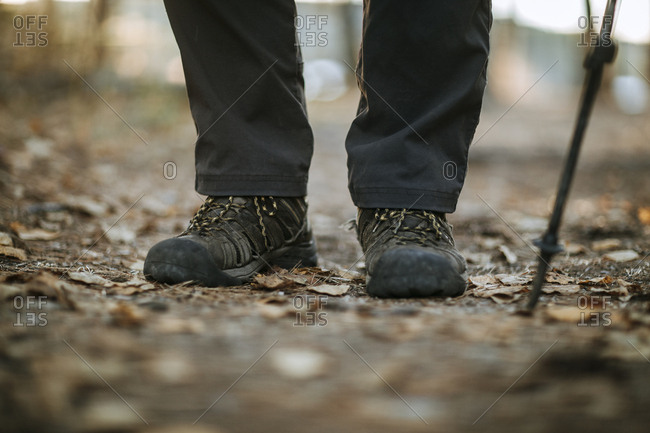 A close up of a hikers boots in a forest on a bed of leaves