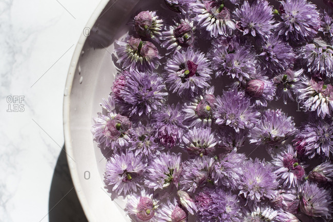 Bowl of chive blossoms in water