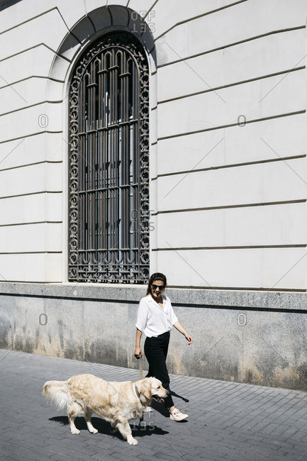 Spain- Barcelona- woman going walkies with her Labrador Retriever in the city