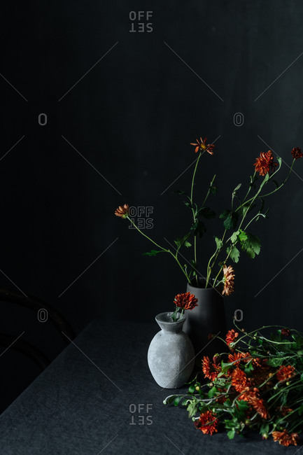 Gerbera daisies being prepared in vases on dark background