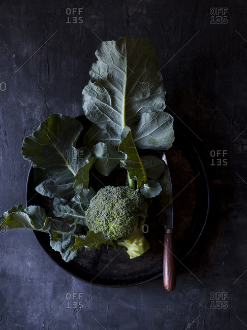 Homegrown broccoli set on a dark plate