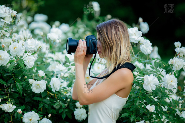 style woman with camera near white roses in a grarden in spring time