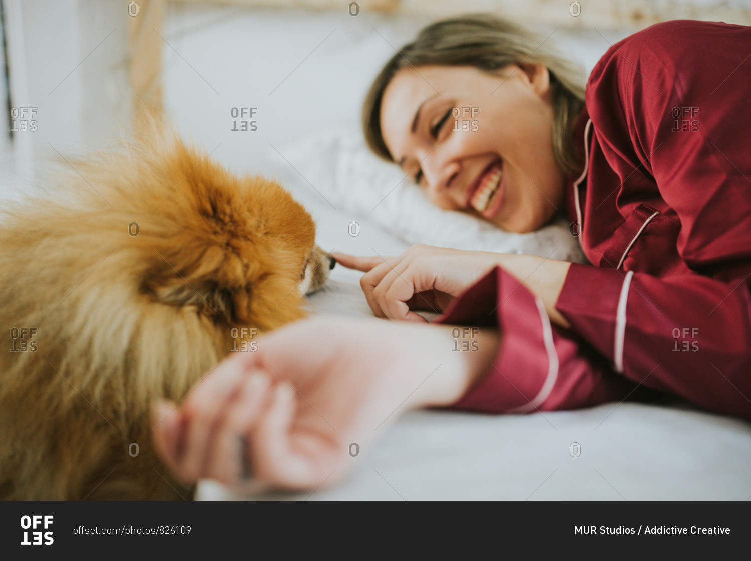 Young happy smiling attractive woman in pajamas lying in bed with little fluffy dog