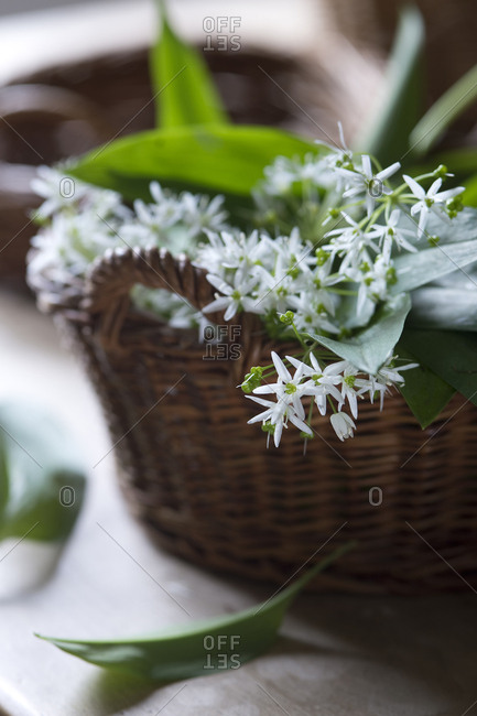 Blossoms of random in wickerbasket