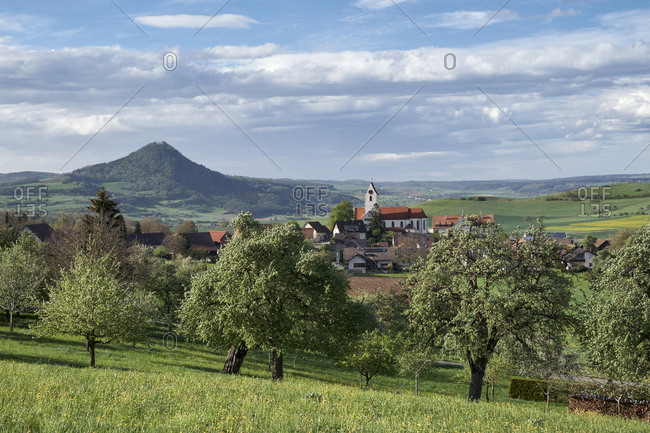 Germany- Weiterdingen- meadow with scattered fruit trees and Hegau volcano in the back