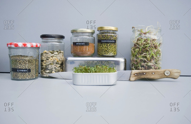 Preserving jars with grains- mung sprouts and cress- home grown sprouts