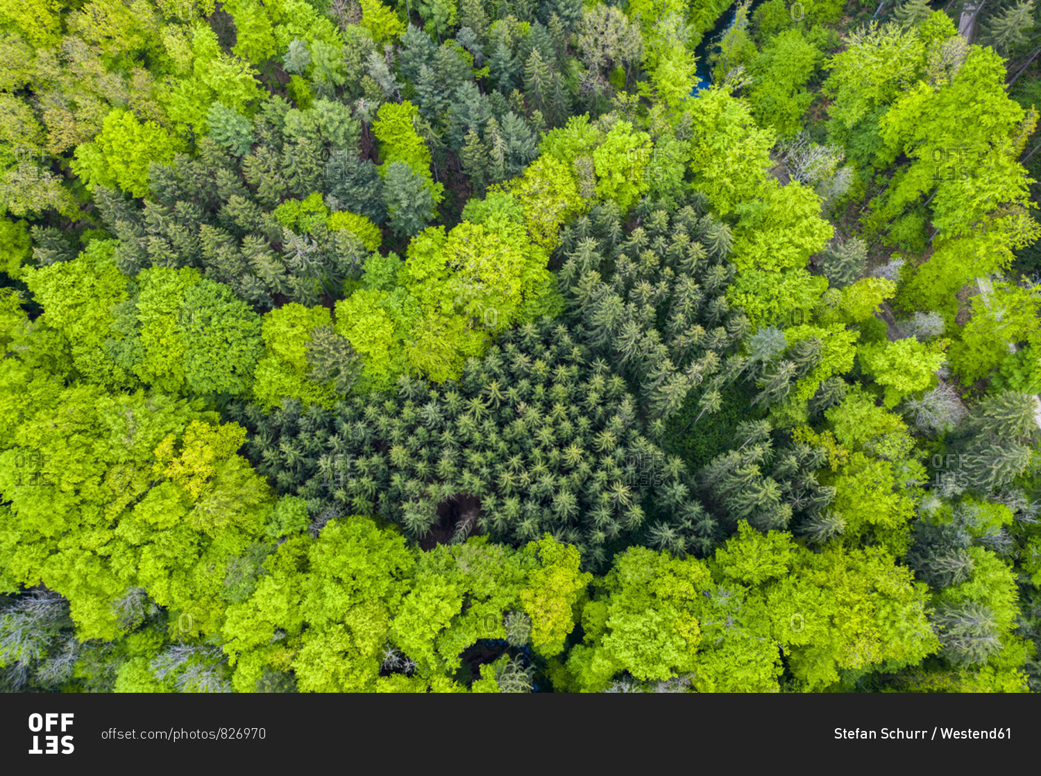 Germany- Baden-Wuerttemberg- Swabian Forest- aerial view